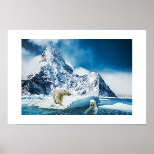Poster des ours polaires