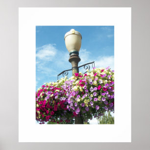Poster des paniers de fleurs