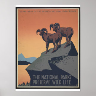 Poster des parcs nationaux de l'APM vintage Circa