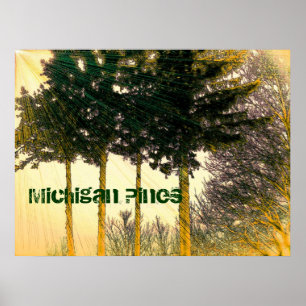 Poster des pins du Michigan