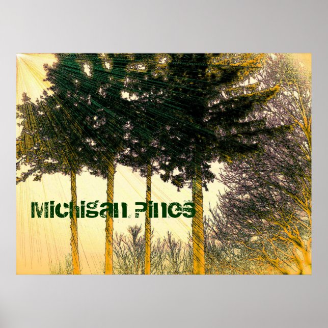 Poster des pins du Michigan (Devant)