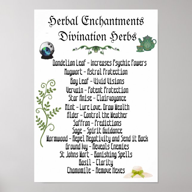 Poster des plantes de cuisine Développement psycho (Devant)