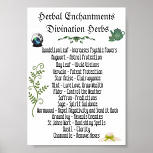 Poster des plantes de cuisine Développement psycho