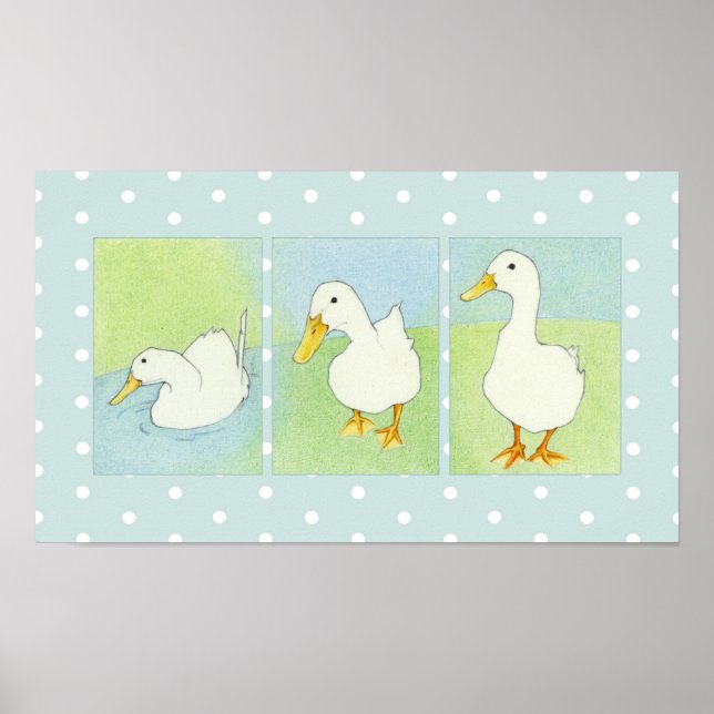 Poster des points de canards blancs (Devant)