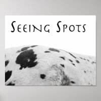 Poster des points de vue