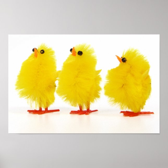 Poster des poussins de Pâques (Devant)