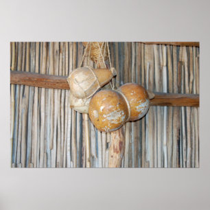 Poster des puces d'eau amérindiennes