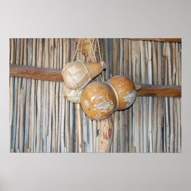 Poster des puces d'eau amérindiennes (Devant)