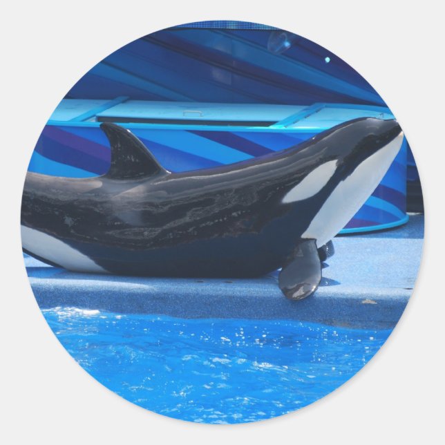 Poster Des Stickers Orca (Devant)