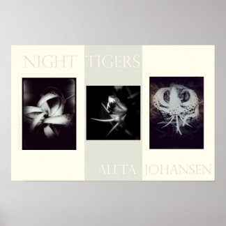 Poster des tigres de nuit (22,5 po x 15 po)