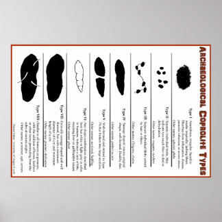 Poster des types de coprolite archéologique