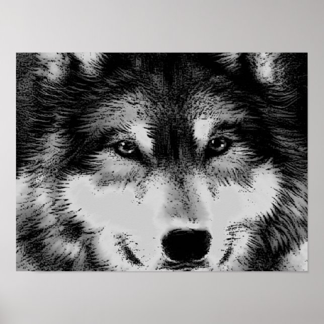 Poster des yeux de loup noir et blanc (Devant)