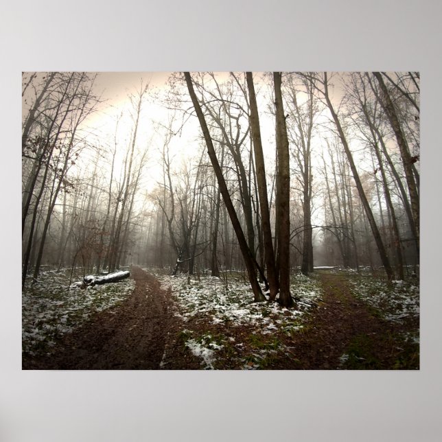 Poster désarroi (Devant)