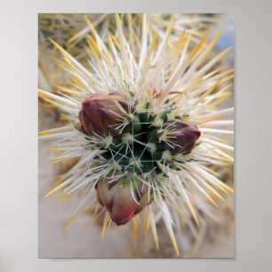 Poster Desert beauty