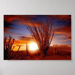 Poster Désert de Sonora, Arizona