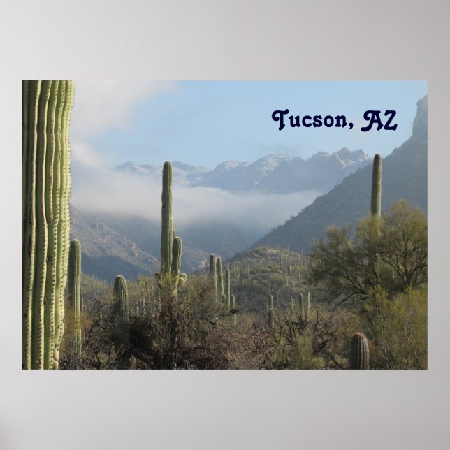 Poster Desert de Tucson (Devant)