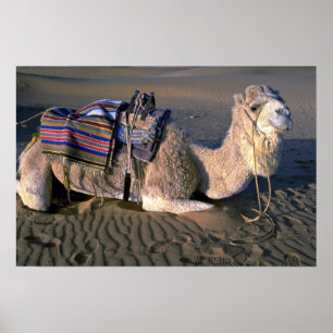 Poster Désert du Sahara près de Merzouga, Maroc