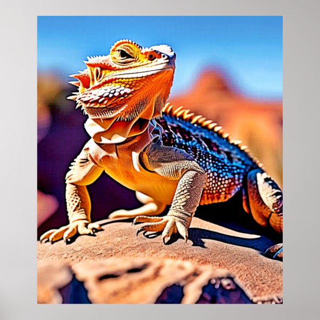 Poster Desert Lizard Gros plan (Devant)