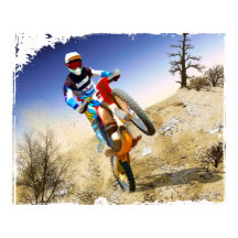 Desert Wheelie