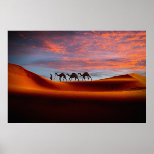 Poster Deserts   Man & Camels in the Sand Dunes