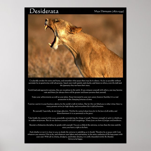 Poster Desiderata cougar montrant ses dents (Devant)