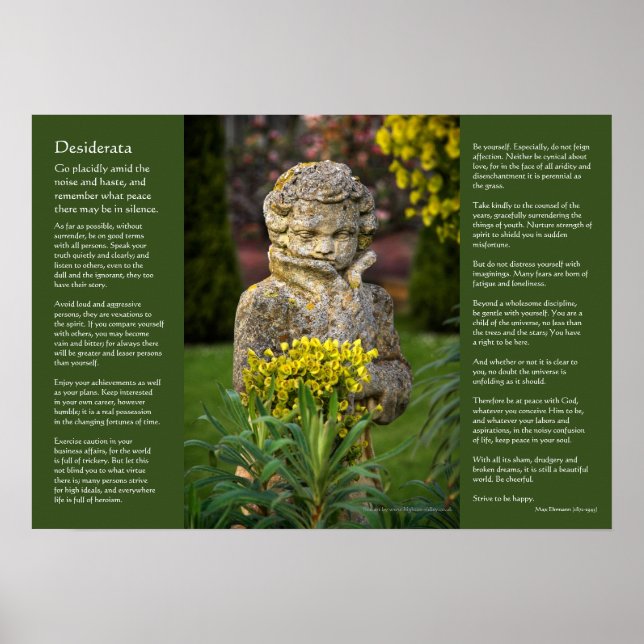 Poster Desiderata - Garçon avec Spring Posy, statue de ja (Devant)