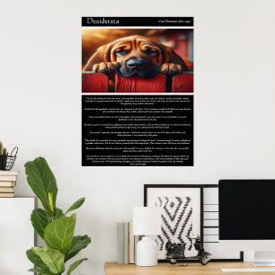 Poster Desiderata : Le contentement d'une canine