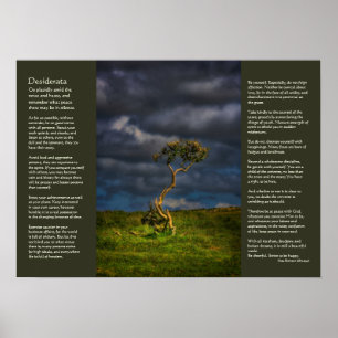 Poster Desiderata - Le Dernier Survivant