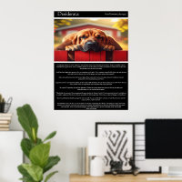 Desiderata : Où réside la paix