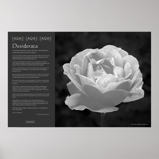 Poster Desiderata - Rose en noir et blanc (Devant)
