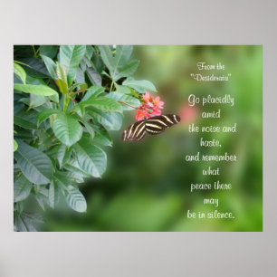 Poster Desiderata sur la photo du papillon de l'aile zébr