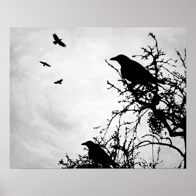 Poster Design 43 corbeau corneille (Devant)