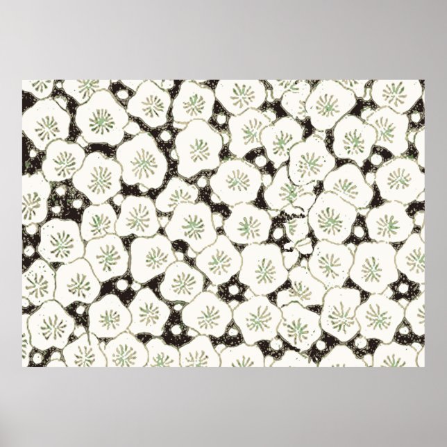 Poster Design d'antiquité de la fleur blanche japonaise (Devant)