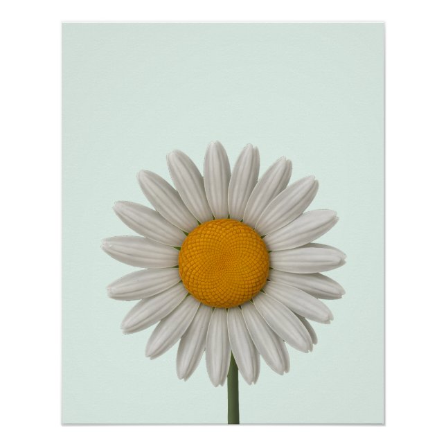 Poster Design d'art botanique de la marguerite blanche dé (Devant)