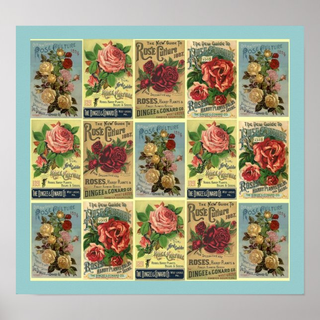 POSTER ~DESIGNET AUS DEM LEITFADEN FÜR VINTAGE ROS (Vorne)