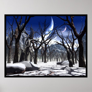 Poster Désolation totale