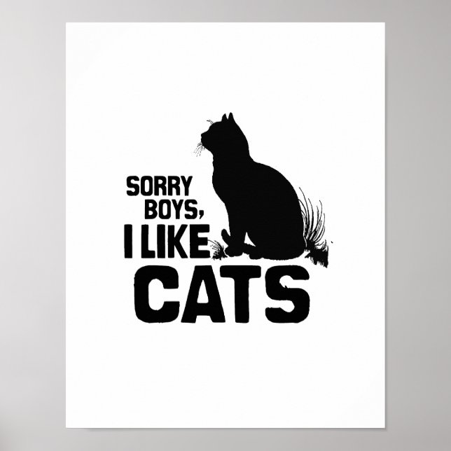 Poster DÉSOLÉ GARÇONS J'AIME LES CHATS -.png (Devant)