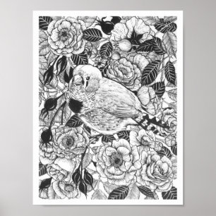Poster Dessin à encre de buisson Zebra et rose