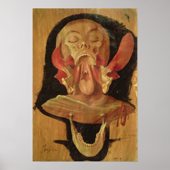 Poster Dessin anatomique de la tête (Devant)