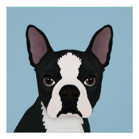 dessin animé de boston terrier