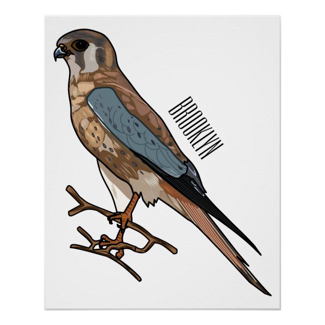 Poster dessin animé d'oiseau-kestrel américain (Devant)