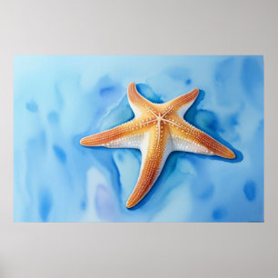 Poster Dessin aquarelle d'étoile de mer