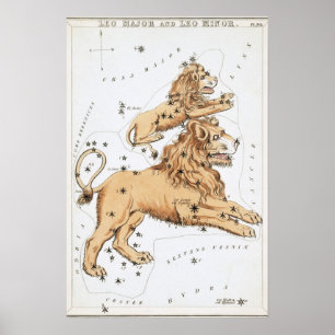 Poster Dessin astrologique Lion