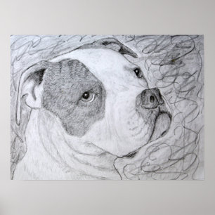 Poster Dessin au crayon d'art pour animaux de compagnie B
