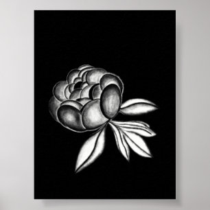 Poster dessin au crayon de pivoines