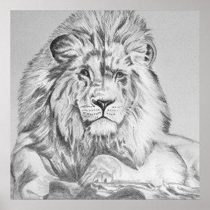 Poster Dessin au crayon original Dessin d'un lion