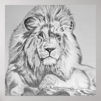 Poster Dessin au crayon original Dessin d'un lion