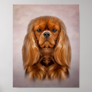 Poster Dessin Chien Cavalier King Charles Spaniel