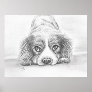 Poster Dessin Chien Chien Chien Chien Chien Chien Papier 
