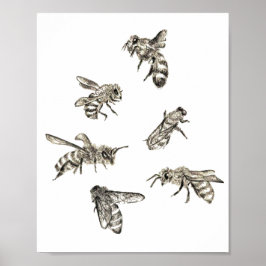 Poster Dessin d'abeilles